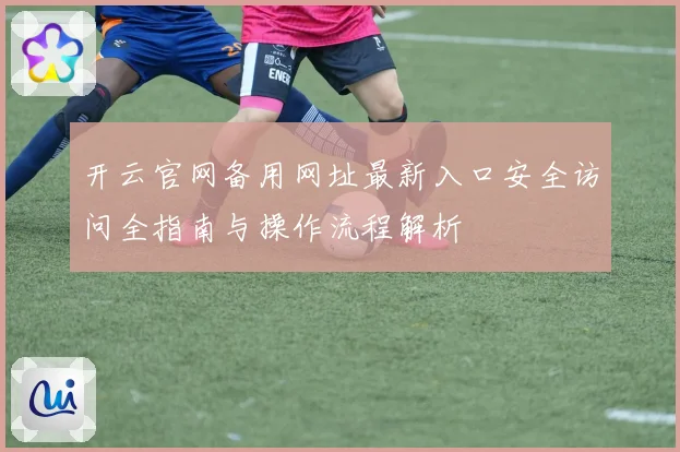 开云官网备用网址最新入口安全访问全指南与操作流程解析