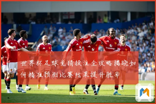 世界杯足球竞猜投注全攻略揭晓如何精准预测比赛结果提升胜率